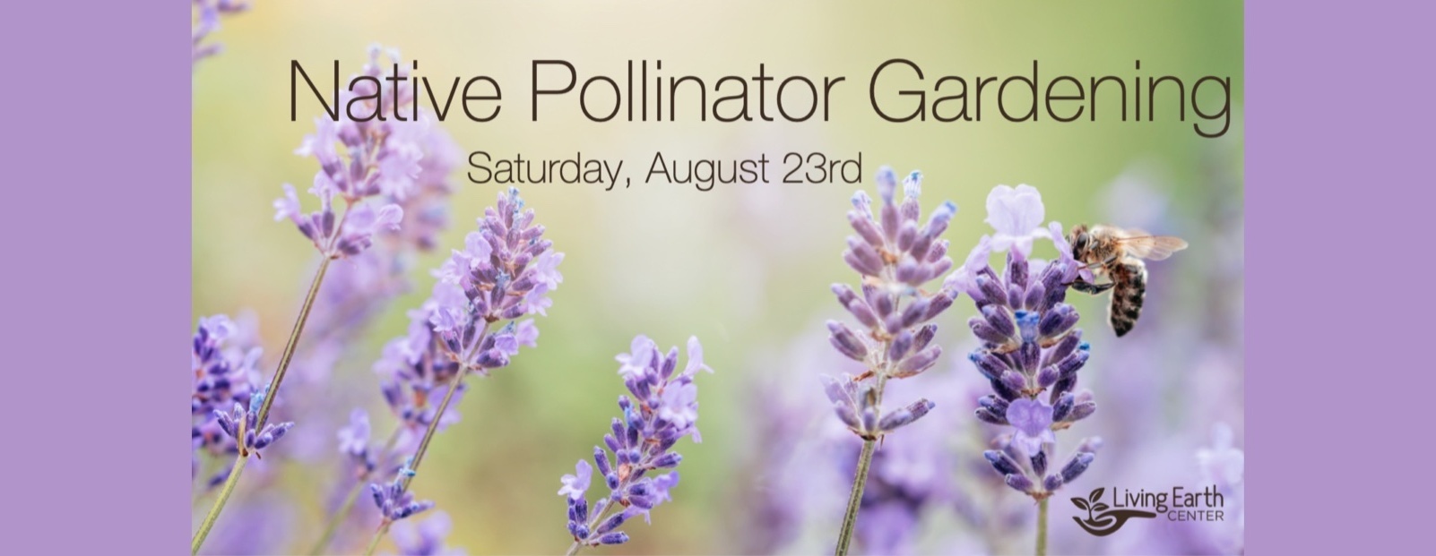 2026 Native Plant Gardening